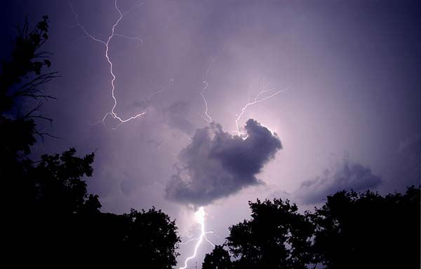 Whole Home Surge Protection WHOLE HOME SURGE PROTECTION